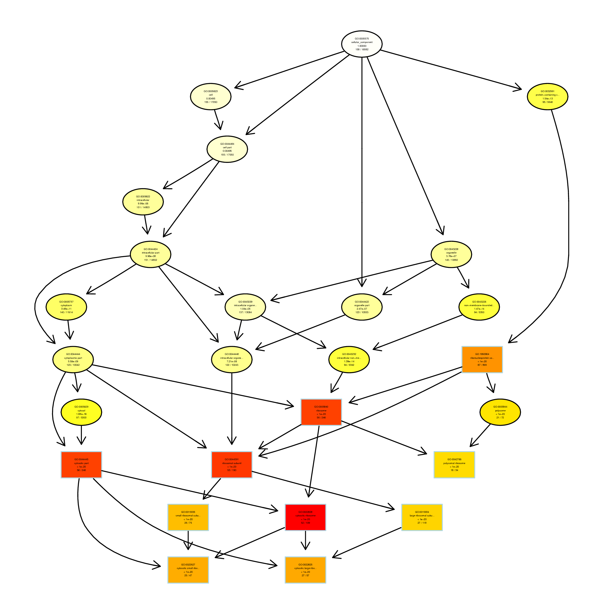 GO Enrichment Analysis