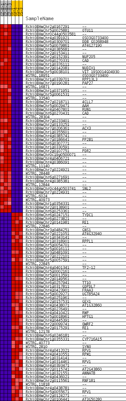 Heat Map And Correlation Plot For All all cls GZ B versus JS