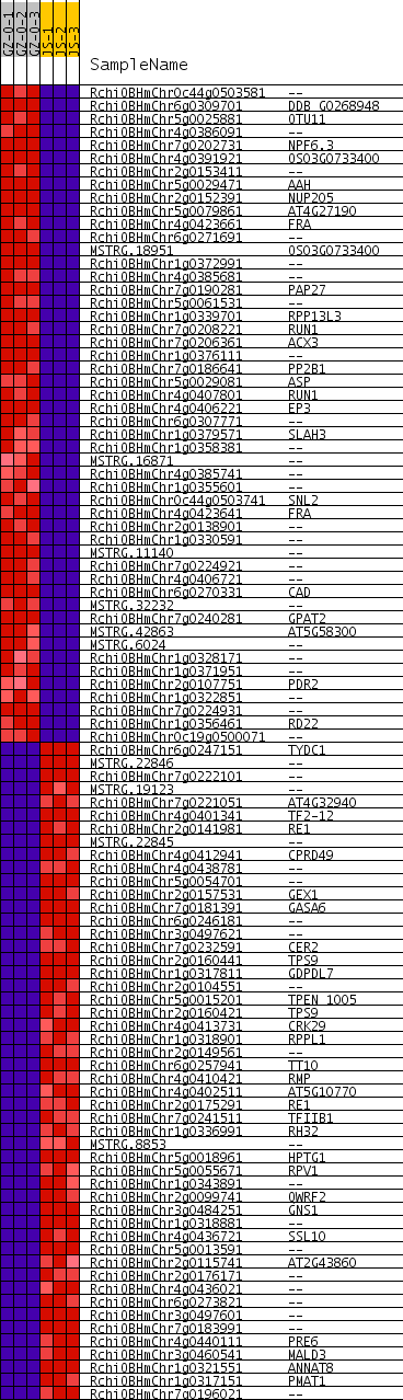 Heat Map And Correlation Plot For All all cls GZ O versus JS
