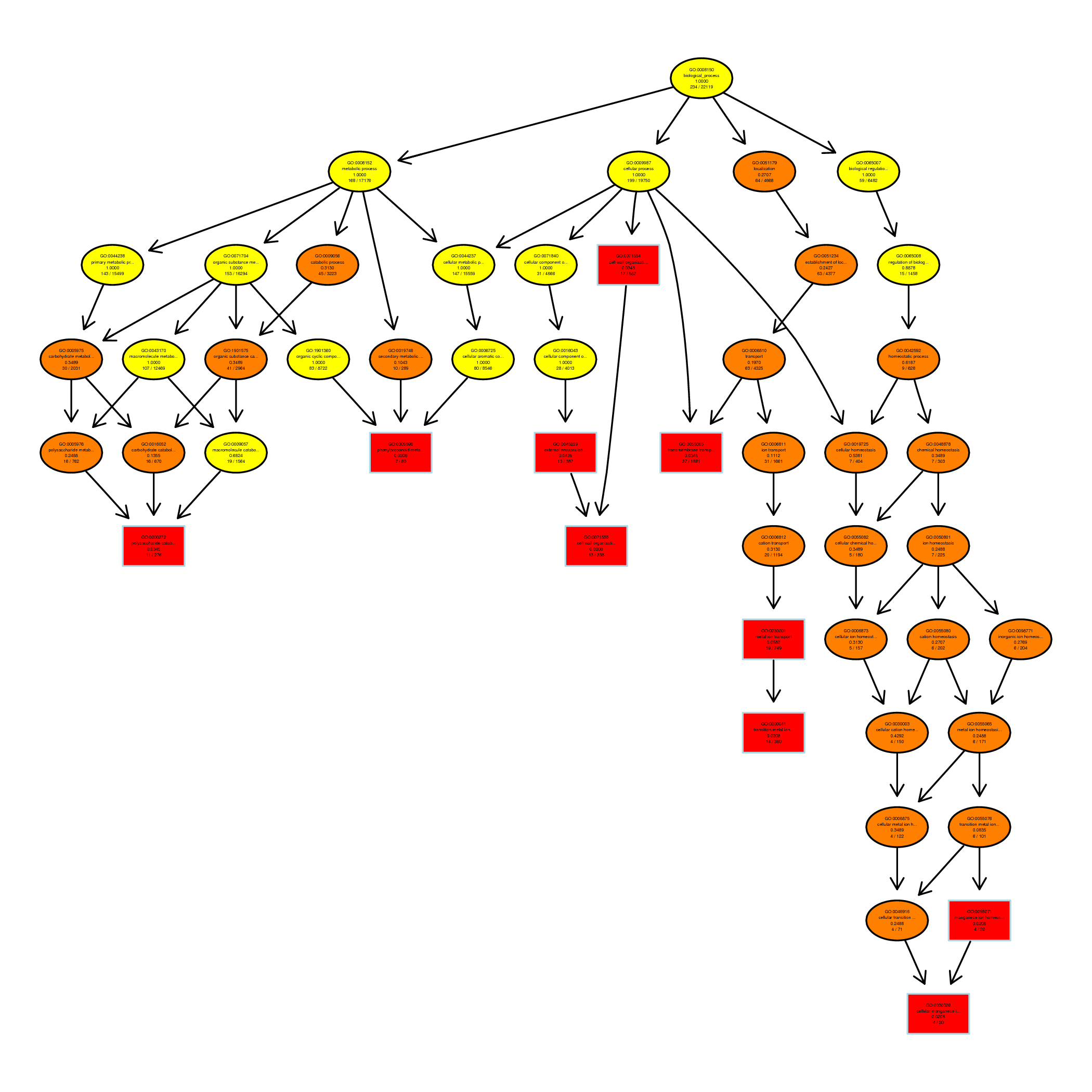 GO Enrichment Analysis