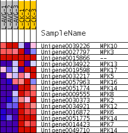 Details for gene set GO:0004707[GSEA]