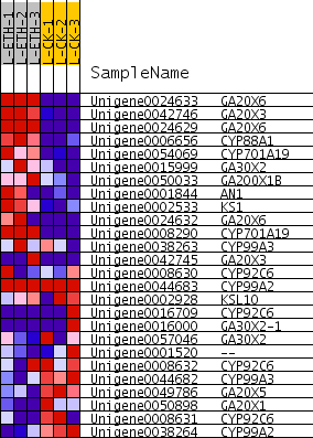 Details for gene set KO00904[GSEA]