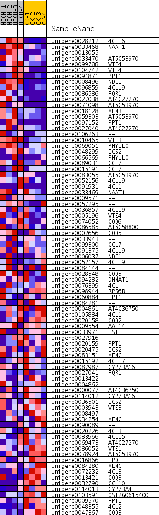 Details for gene set KO00130[GSEA]