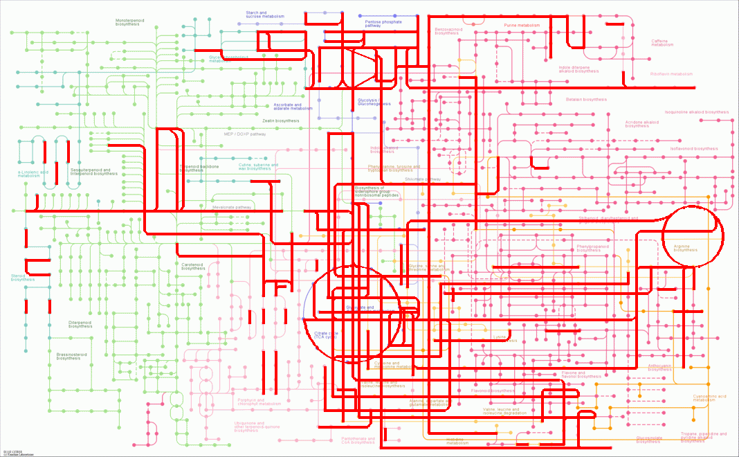 KEGG PATHWAY: Biosynthesis of secondary metabolites - Reference pathway