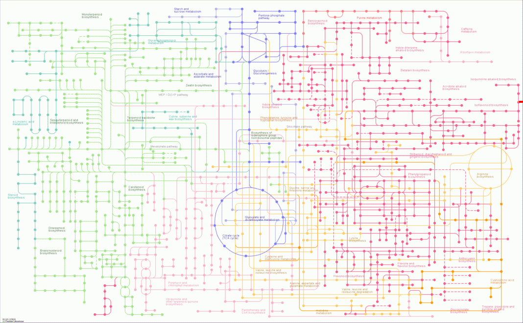 KEGG PATHWAY: Biosynthesis of secondary metabolites - Reference pathway