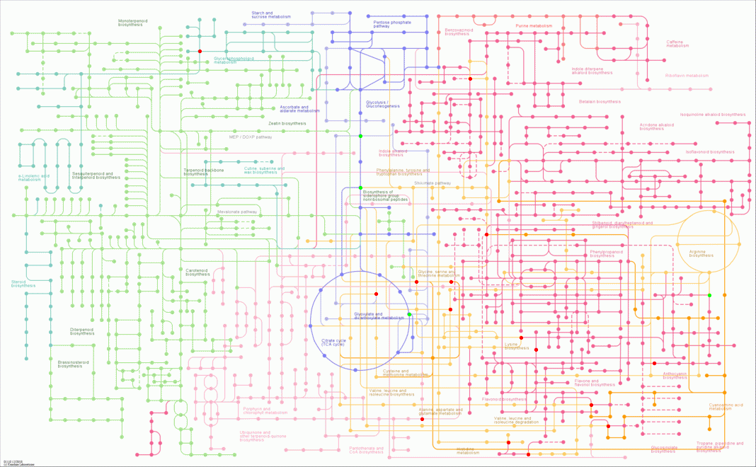 KEGG PATHWAY: Biosynthesis of secondary metabolites - Reference pathway