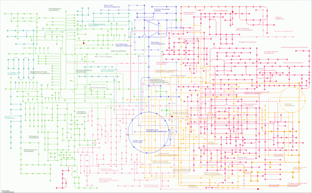 KEGG PATHWAY: Biosynthesis of secondary metabolites - Reference pathway
