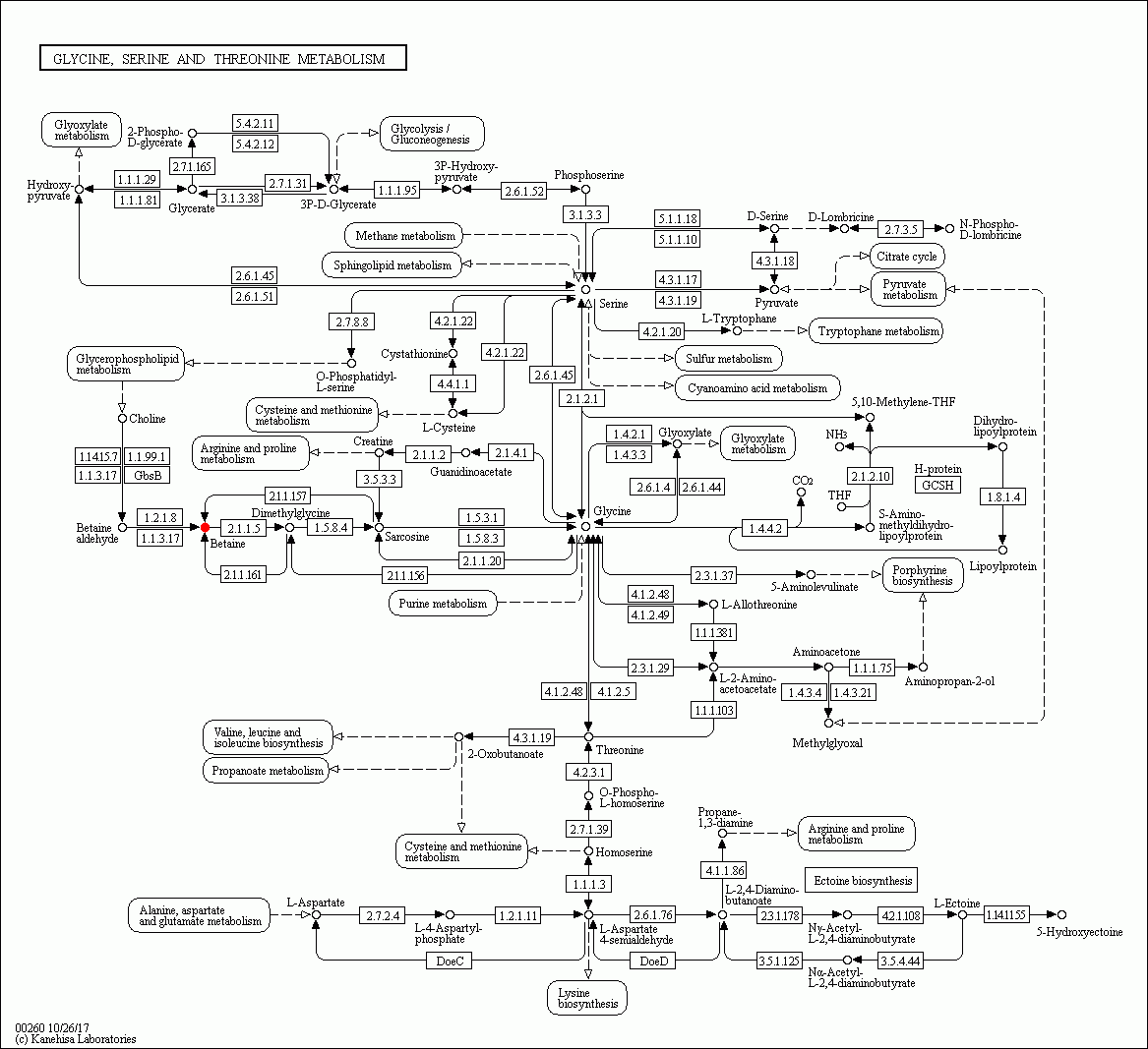KEGG PATHWAY: Glycine, serine and threonine metabolism - Reference pathway