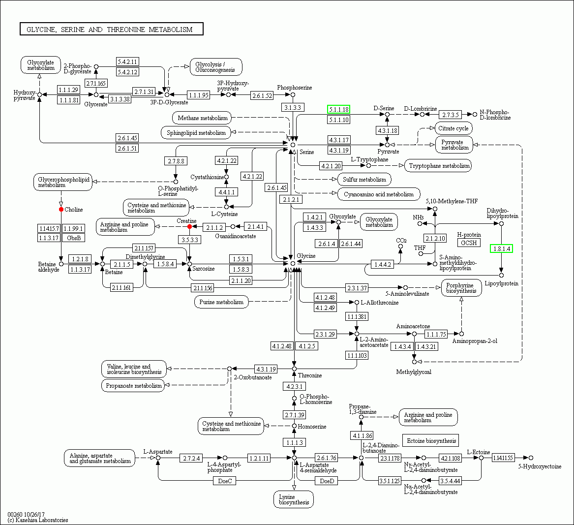KEGG PATHWAY: Glycine, serine and threonine metabolism - Reference pathway