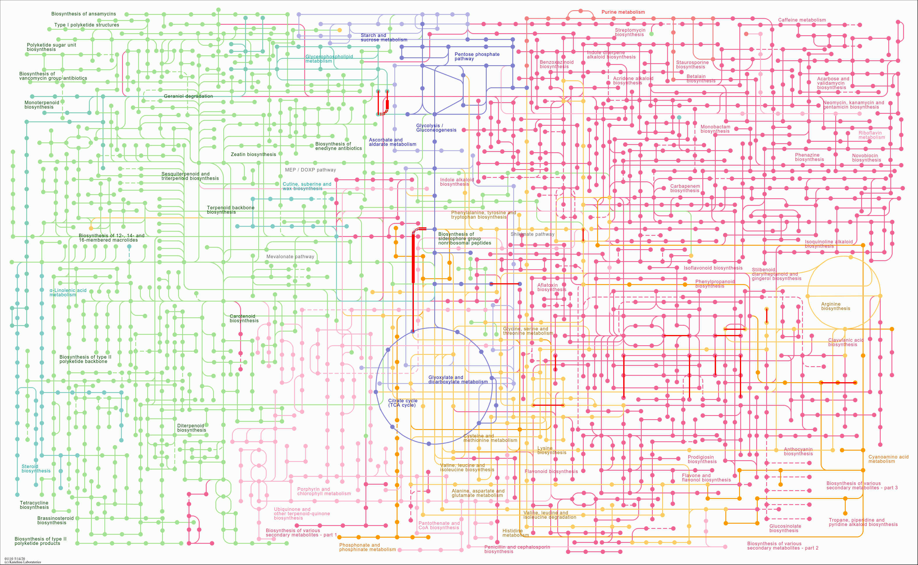KEGG PATHWAY: Biosynthesis of secondary metabolites - Reference pathway