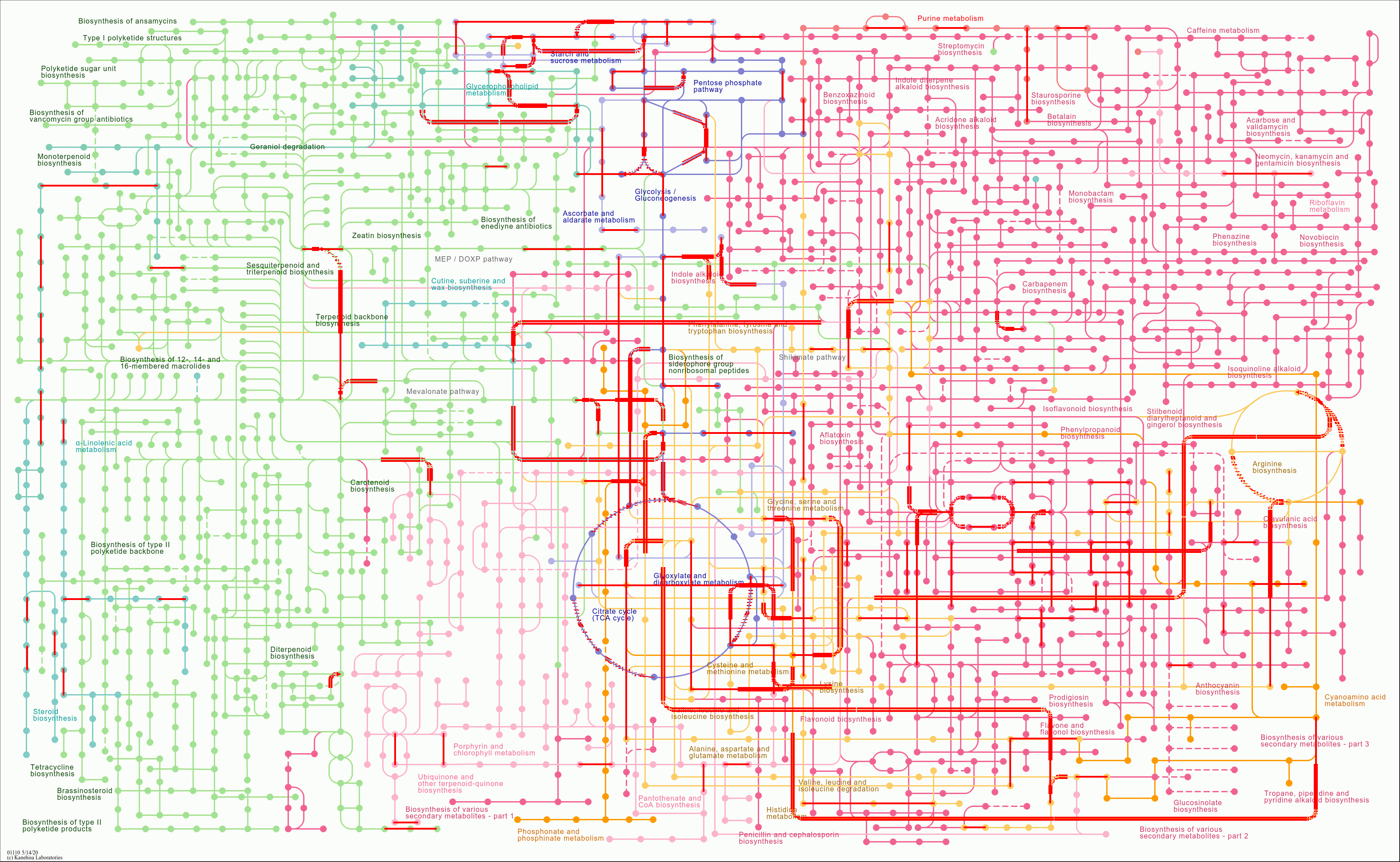 KEGG PATHWAY: Biosynthesis of secondary metabolites - Reference pathway