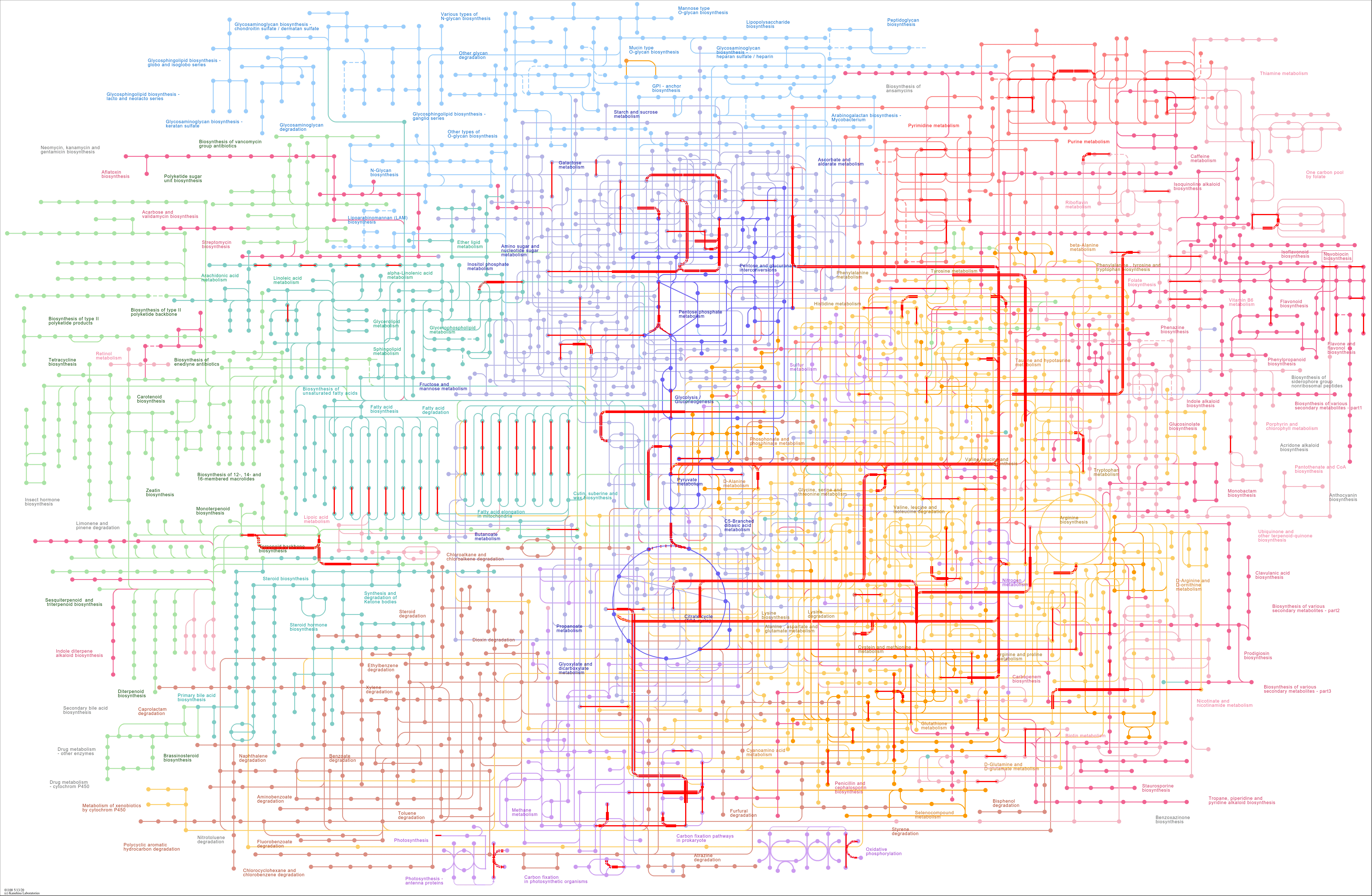 KEGG PATHWAY: Metabolic pathways - Reference pathway