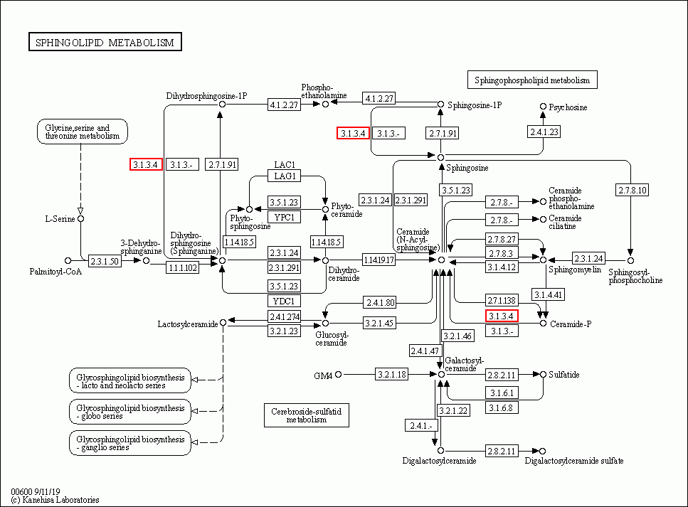 KEGG PATHWAY: Sphingolipid metabolism - Reference pathway