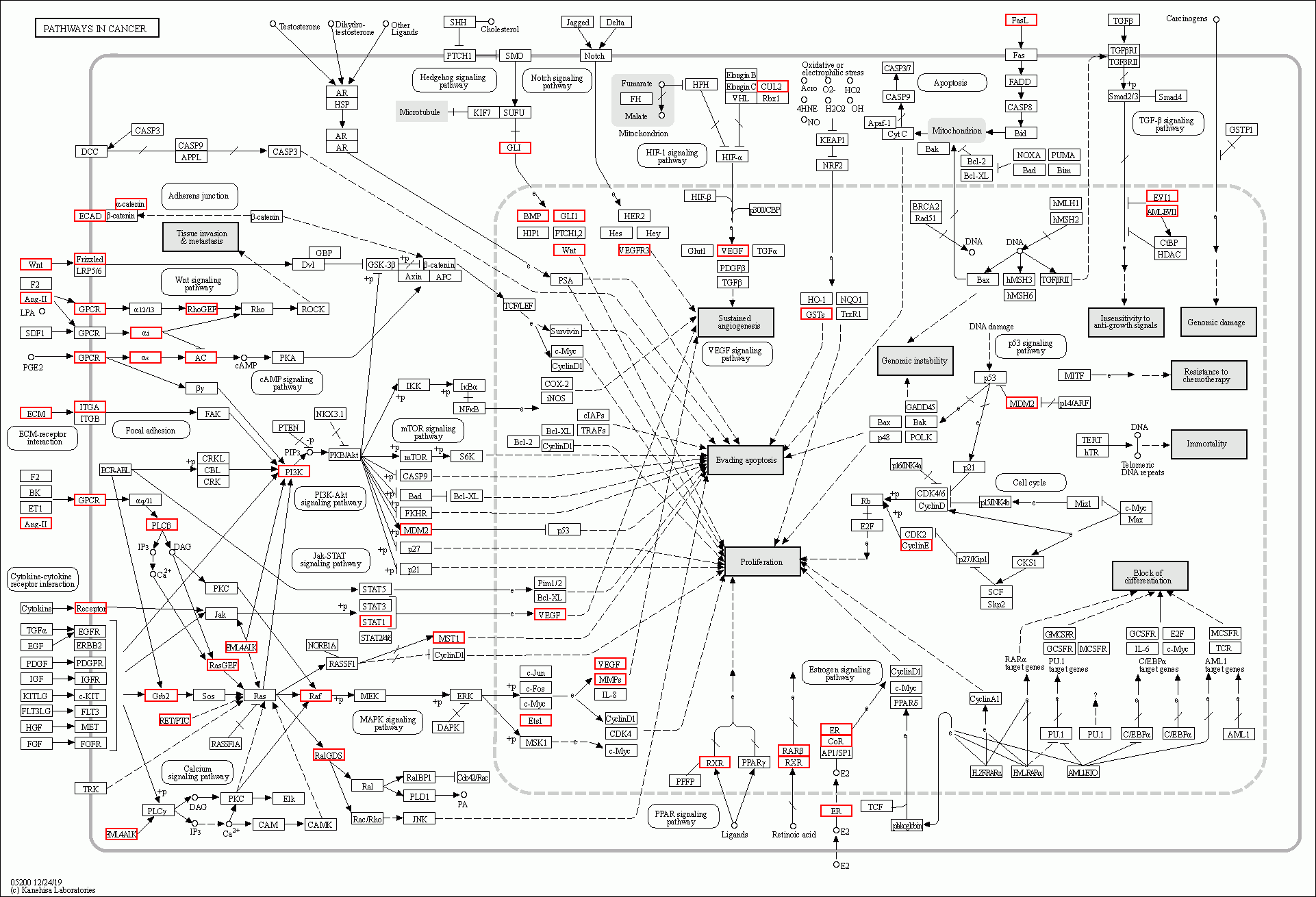 KEGG PATHWAY: Pathways in cancer - Reference pathway