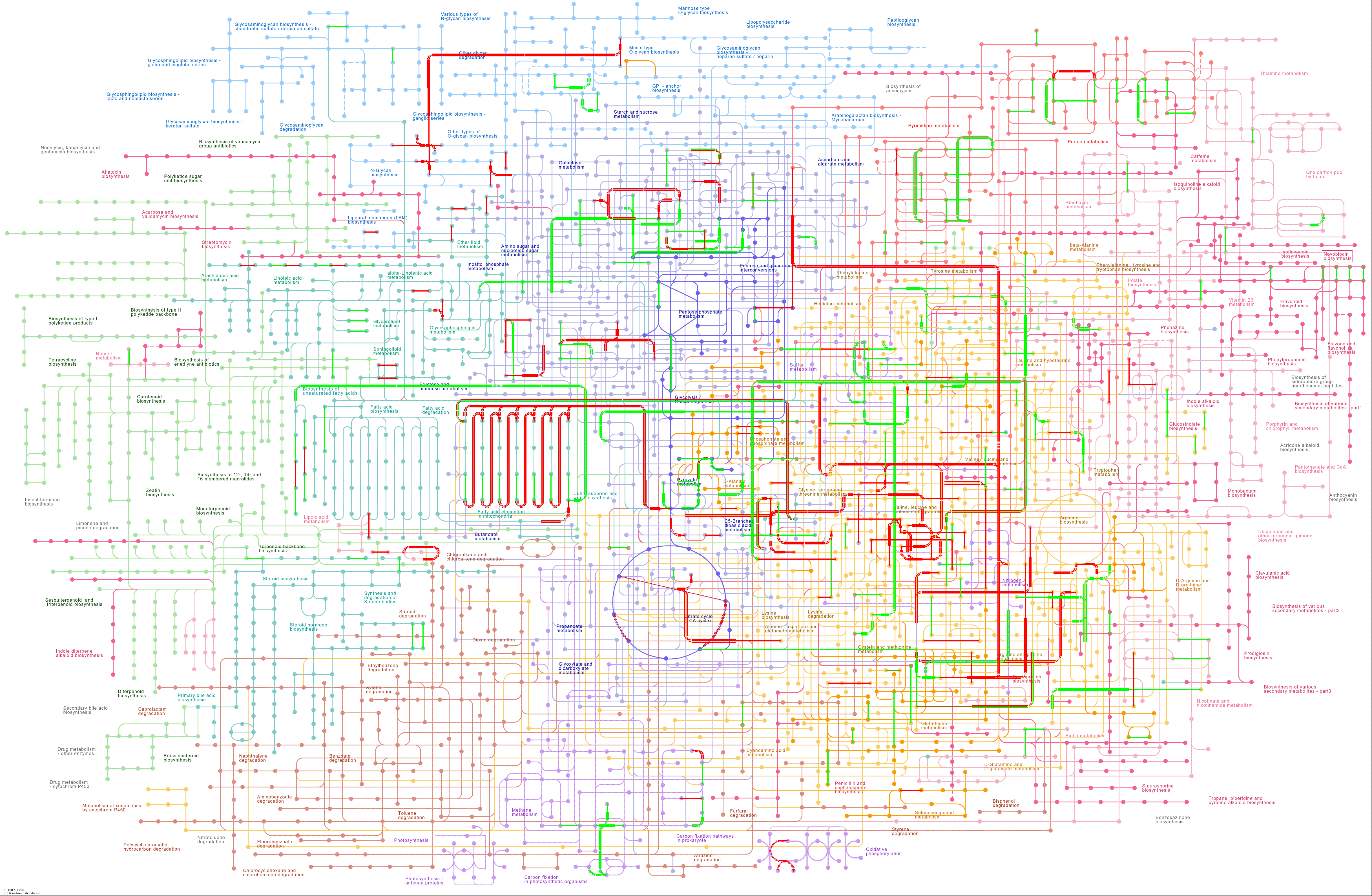 KEGG PATHWAY: Metabolic pathways - Reference pathway